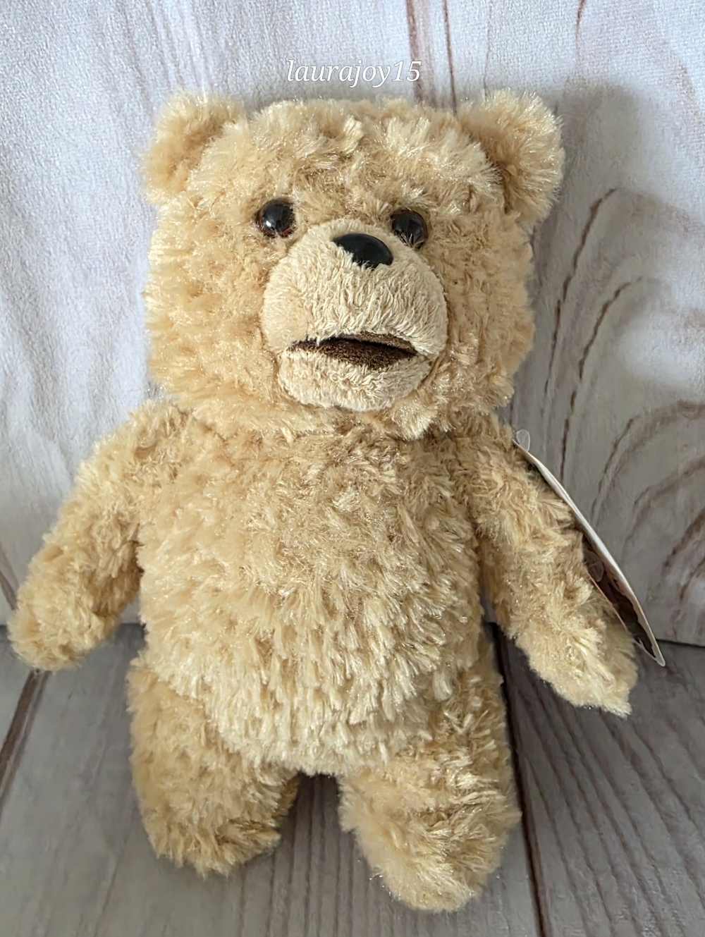 Talking Ted Teddy Bear Plush Stuffed Toy PG Version Tags Attached 8 Inch 2012